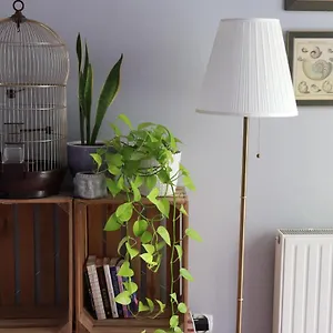 klimatyczna-kawalerka-z-duza-iloscia-kwiatow.hotelswroclaw.com/